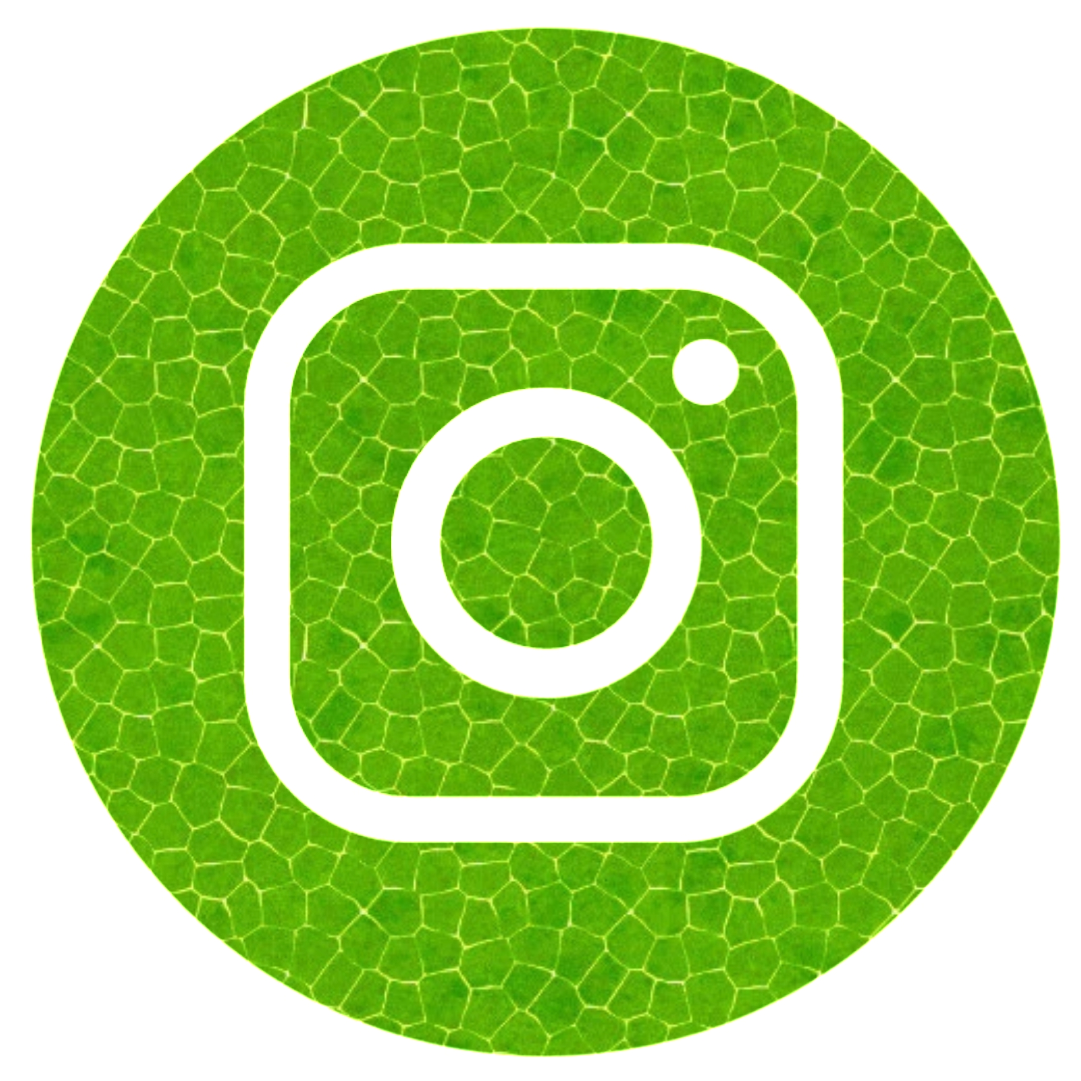Logopit_1663056826410