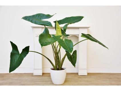 a80eaf5c 0e65 4e99 a88e ef85cf67d7de