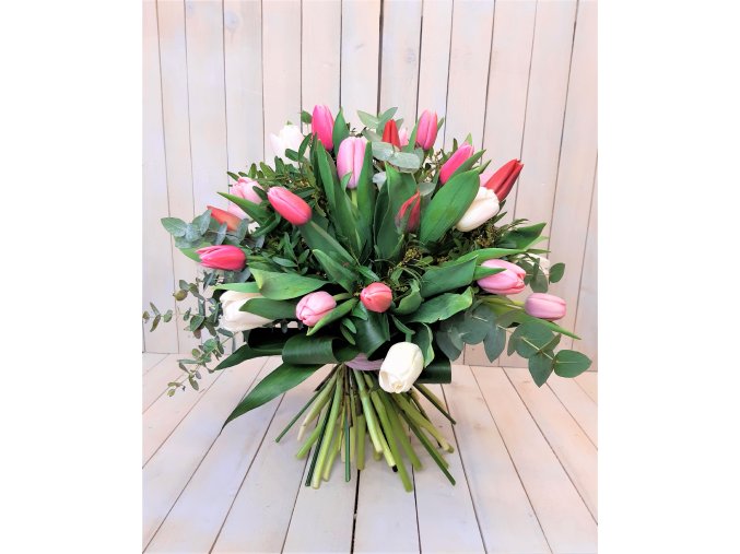 47 KYTICE TULIPÁNY RŮŽOVO ČERV B