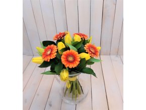 35 TULIPÁNY A GEMINI