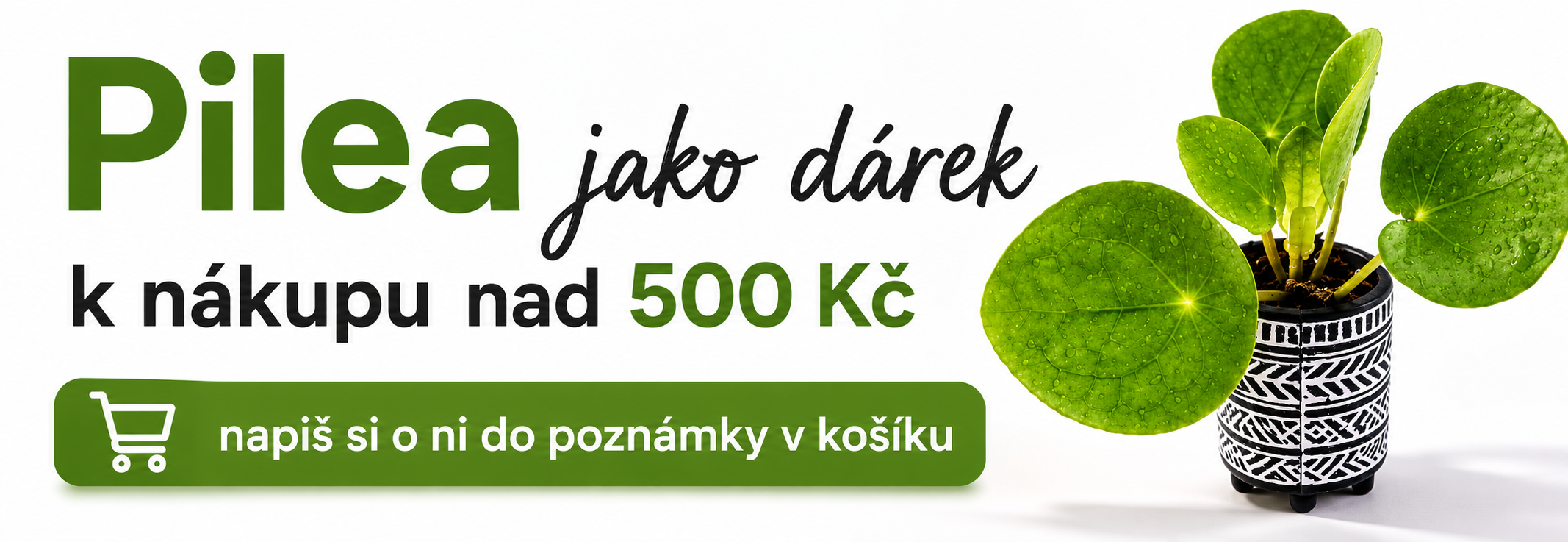 Středový banner