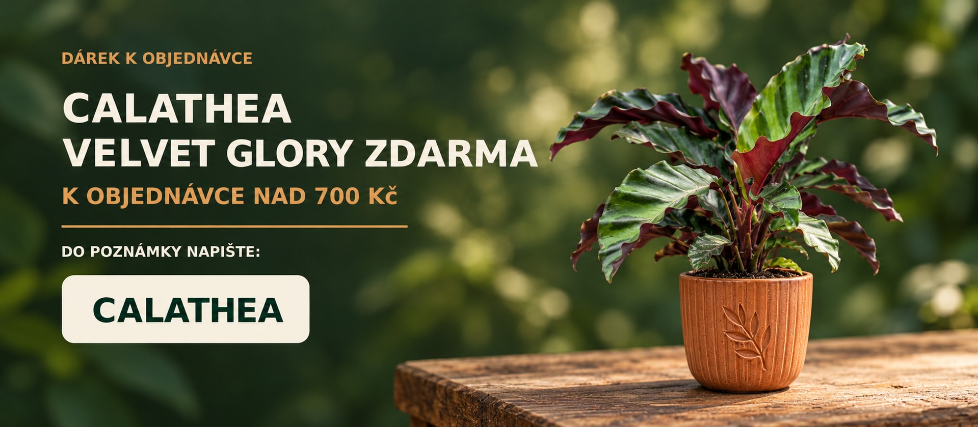 Středový banner