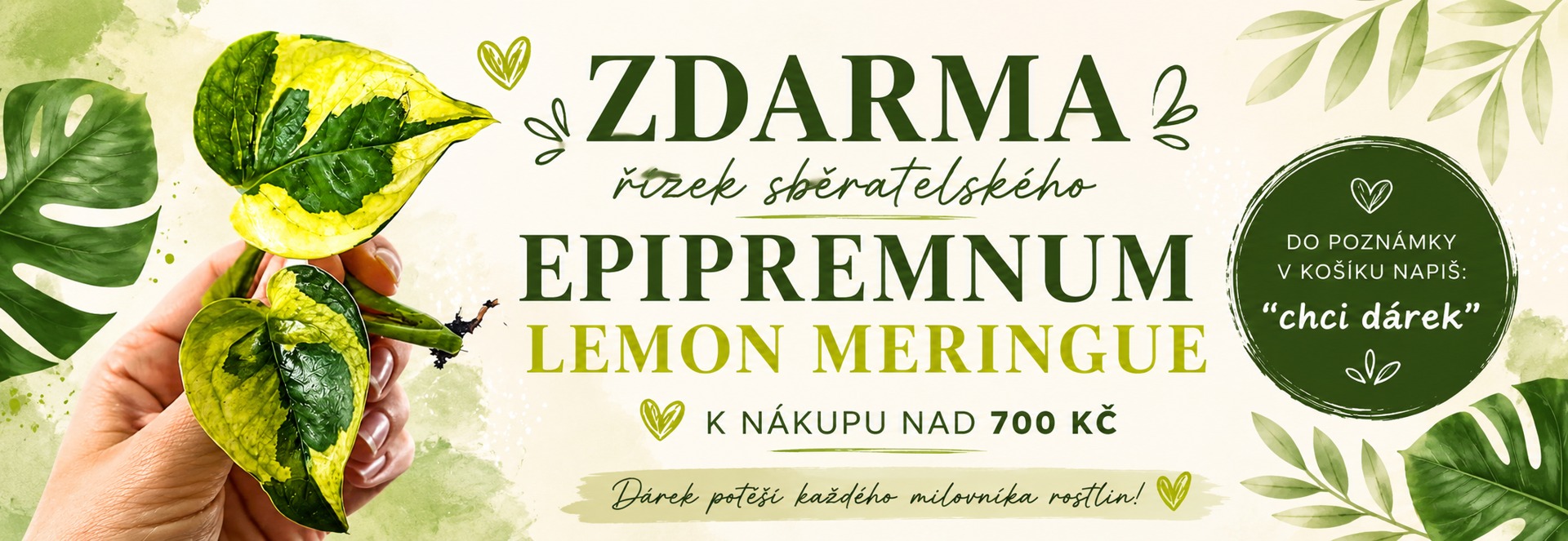 Středový banner