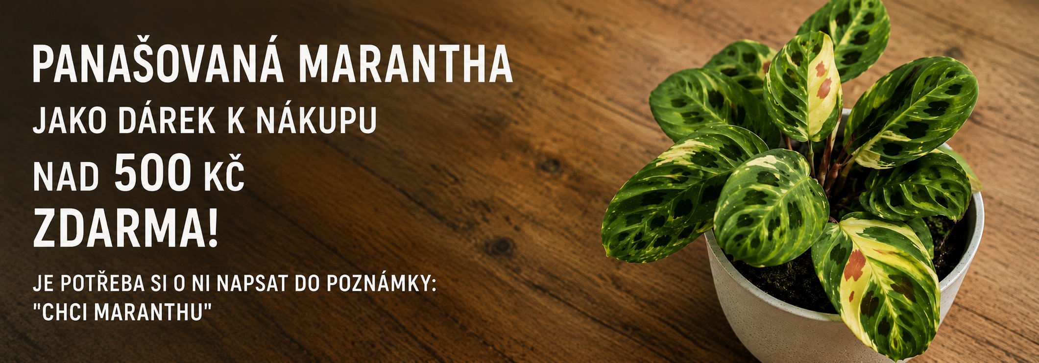 Středový banner