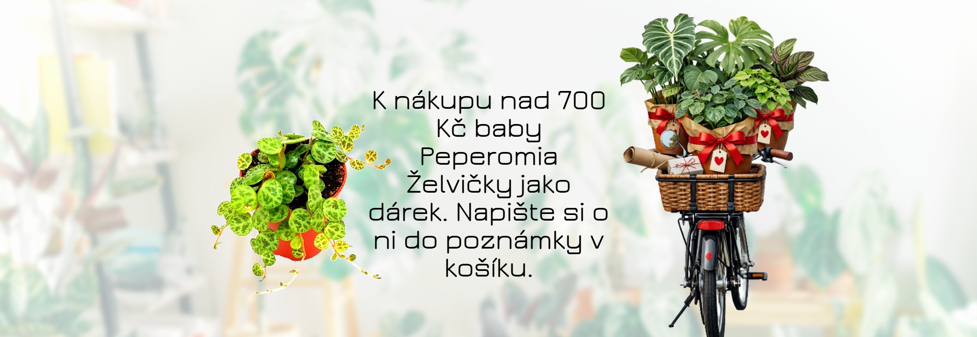 Středový banner