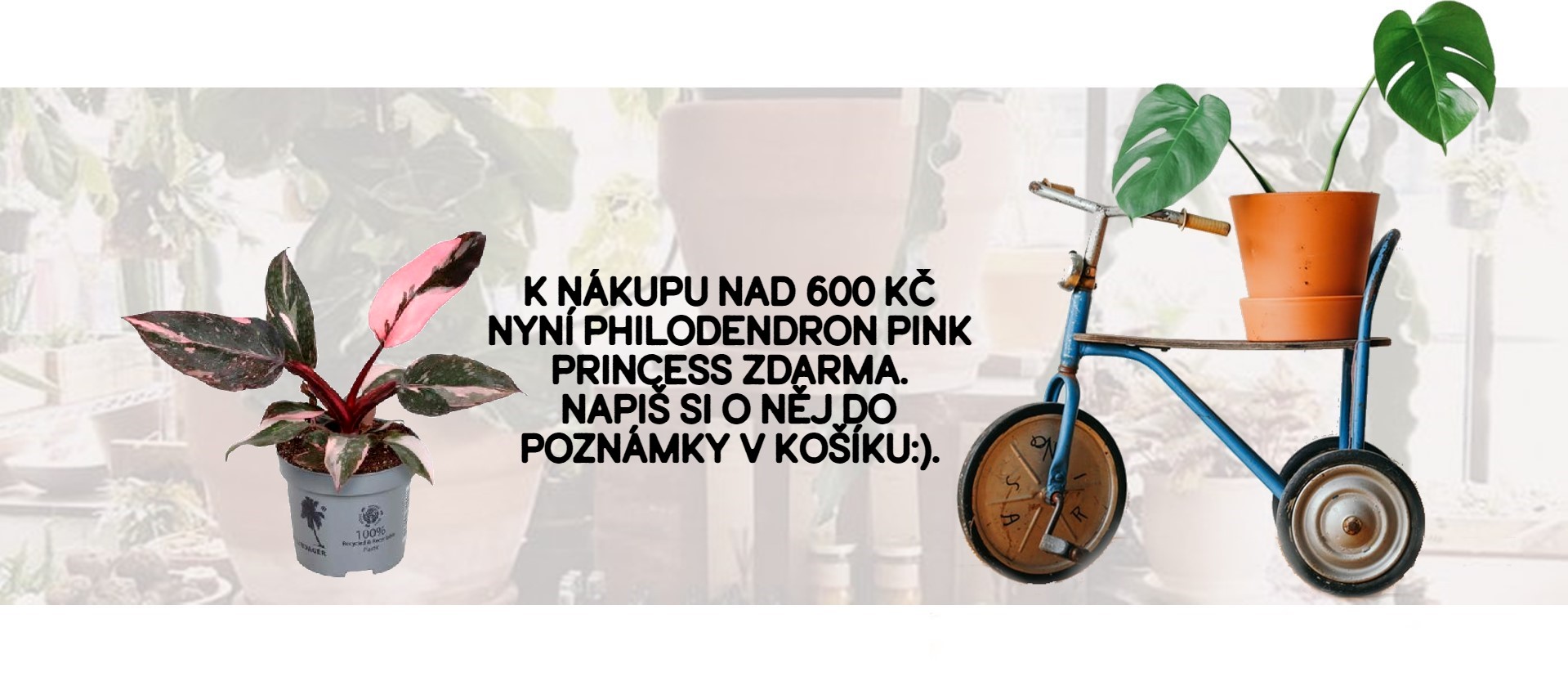 Středový banner