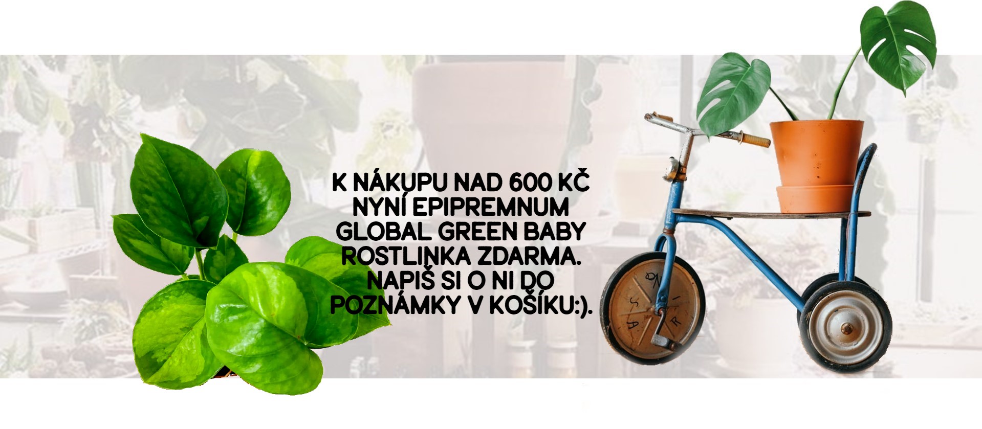 Středový banner