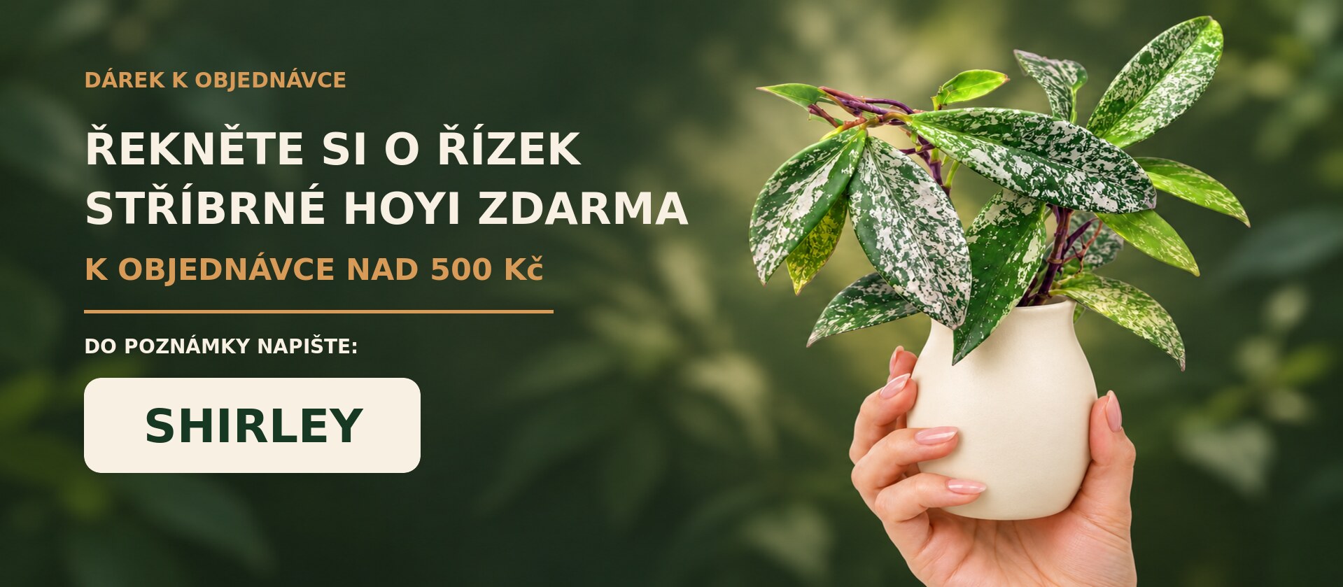 Středový banner