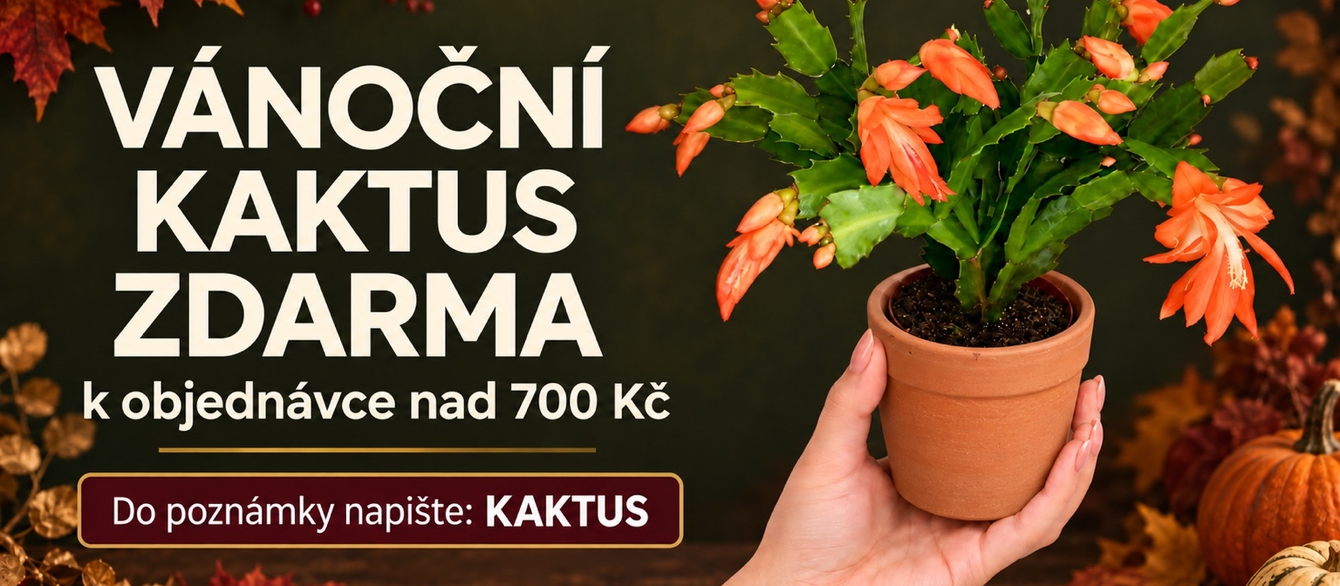 Středový banner