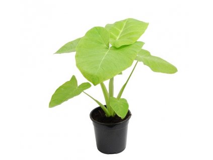 Snímek obrazovky 2023 03 02 193113