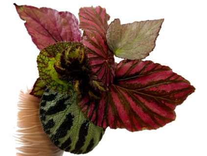 WhatsApp Image 2025 09 24 at 20.57.00