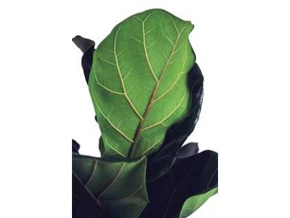 photo 1597912037166 c4cdac5ac9ab