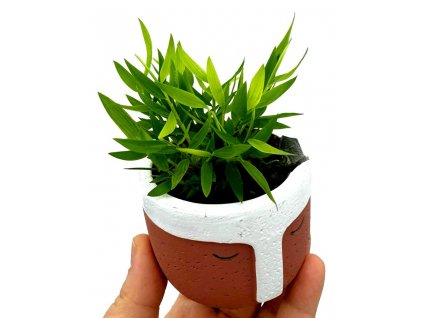 1f6e3c9e 6df0 4256 a6bc 3ece42099338