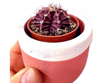 WhatsApp Image 2024 03 18 at 20.45.10