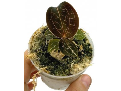 72f6d180 3864 4a95 a87f 488a2bf6f987