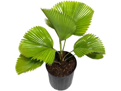 image 48a3f662 8336 44d6 8141 9525b82c878b