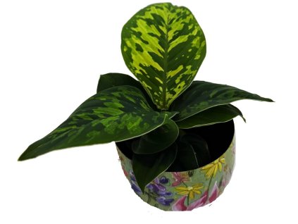 WhatsApp Image 2024 10 01 at 18.40.47 (6)