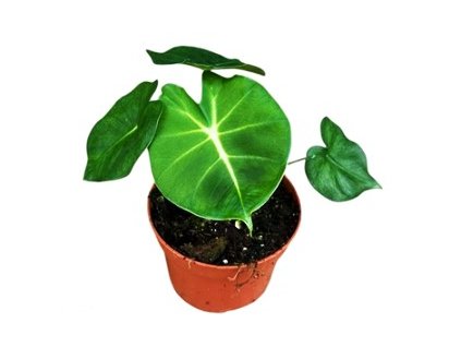 Snímek obrazovky 2025 11 19 221317