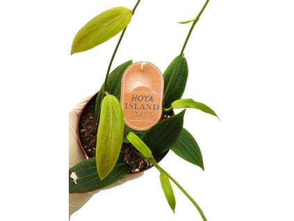 WhatsApp Image 2024 11 07 at 15.21.57 (1)