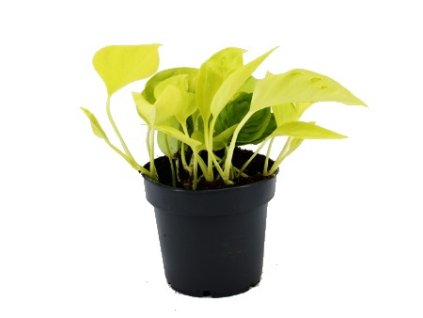 Snímek obrazovky 2025 12 10 123839