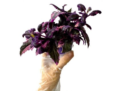 1bbb19f5 f868 453c a636 20f8c34b880c