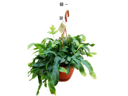 22326f36 f363 41f3 ba5e 711e3f676e54