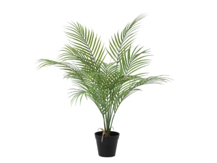 Snímek obrazovky 2026 01 28 084219