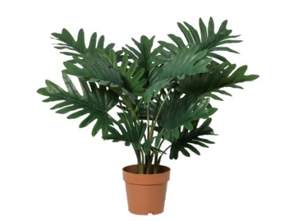 Snímek obrazovky 2026 01 28 084713