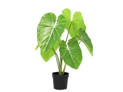 Snímek obrazovky 2026 01 28 084922