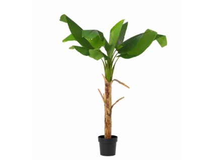 Snímek obrazovky 2026 01 28 085121