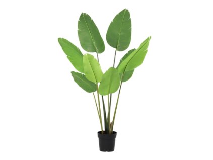 Snímek obrazovky 2026 01 28 085404