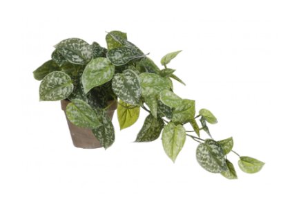 Snímek obrazovky 2026 01 28 090024