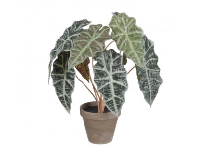 Snímek obrazovky 2026 01 28 090156