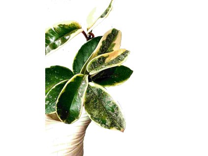 39a32807 793a 416a 86f2 3b3e49586a57