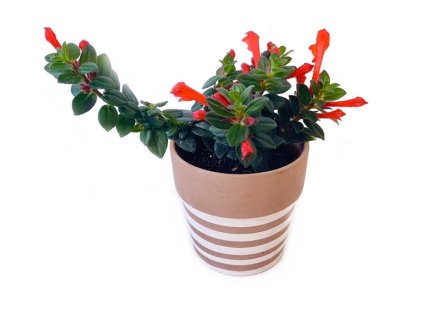 ba1f9d59 80d3 4d9c 9351 2d41c3a63592