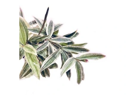 c586b712 3c69 4fc5 a09e c6293801df07