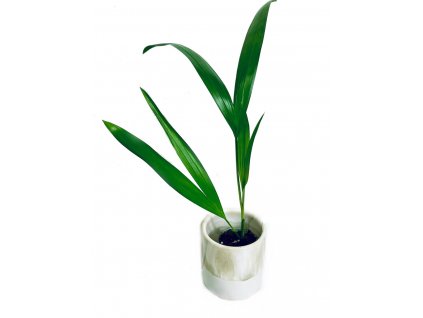 5a34c17d 6eef 4e37 8589 70ef2ef78a43