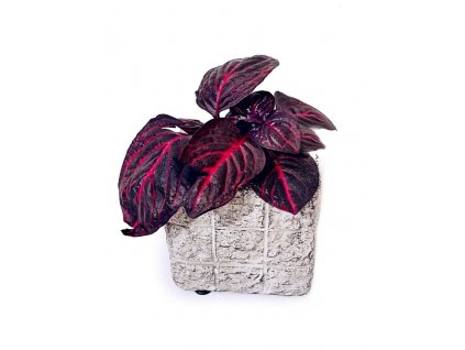 977e9c62 9dc1 4836 a01b 01a533b8c758