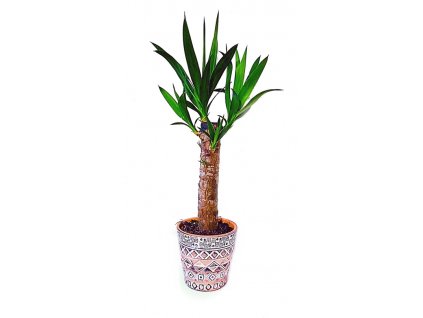 82eb2e60 50c1 4306 a4c2 6b77a546f100