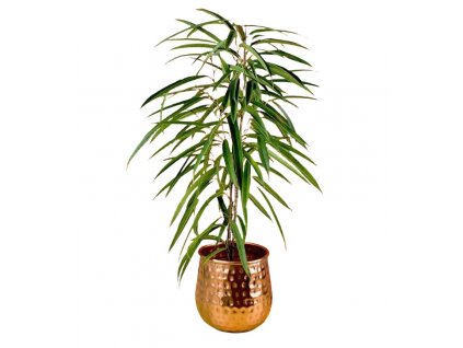 ficus alii in garath planter garath planter gifting plant tumbleweed plants 262435