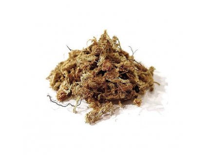 Sphagnum moss - Rašeliník