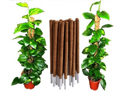 garden coco poles for plants support indoor