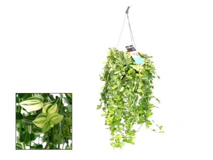 Snímek obrazovky 2022 08 09 221727