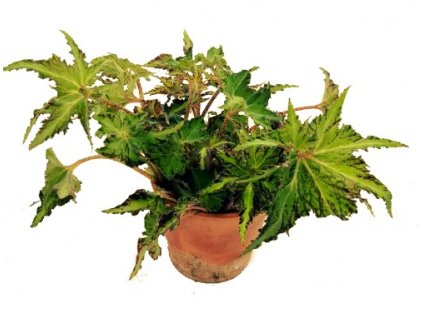 WhatsApp Image 2022 08 18 at 17.43.34