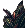 feey w848LrCeK M unsplash