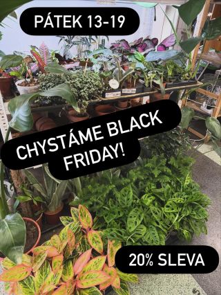 Nepropásněte Black Friday na prodejně :)