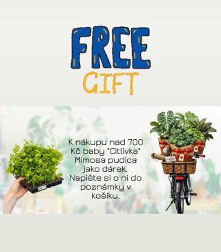 Napište si o Citlivku, srandovní Mimosu, k objednávce nad 700 Kč:).