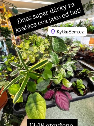 Nenechte si ujít dárek za krabičky, co nám přinesete na prodejnu 😻