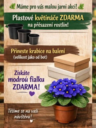🌿 Potřebujete přesazovat? 🌿 Na naší prodejně rozdáváme plastové květináče – ideální na přesazení vašich rostlin 🌱 A navíc:...