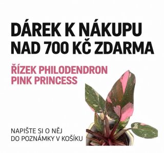 Nenechte si ujít!